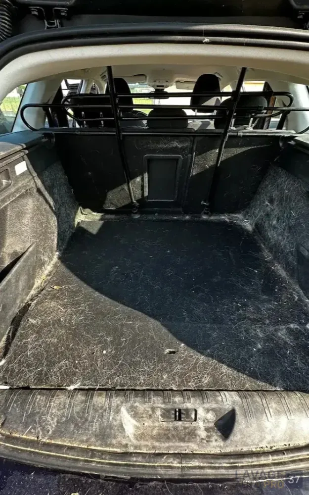 Poils de chien - Avant